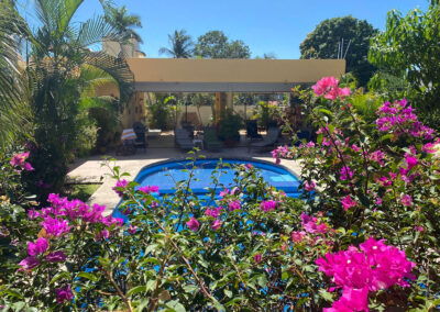 Bougainvilleas frame the pool area at zandoyo bed & breakfast