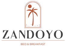LOGO1 zandoyo logo